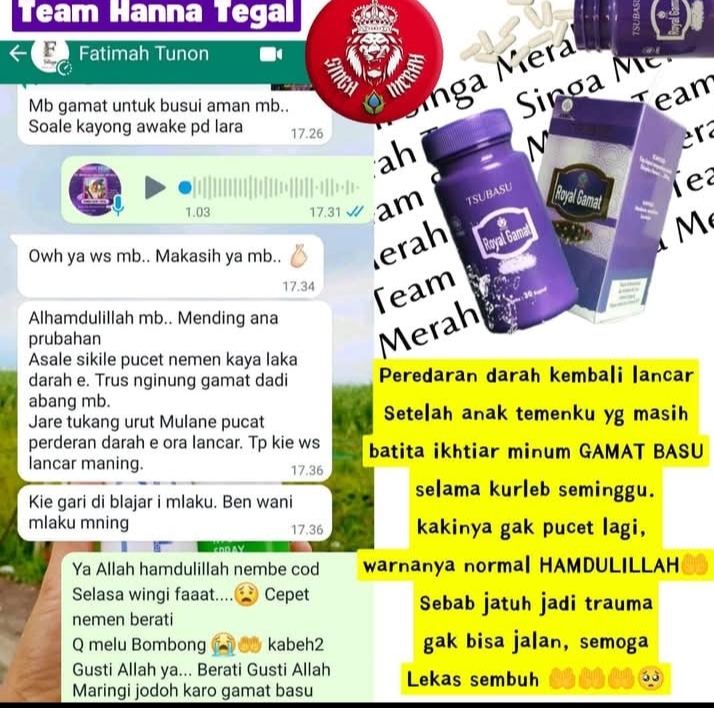 Royal gamat - Gambar 3