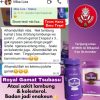 Royal gamat